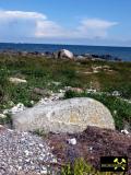 Findling Siebenschneiderstein und weitere Geschiebe an der Küste bei Kap Arkona, Insel Rügen, Mecklenburg-Vorpommern, (D) (16) 01.07.15.JPG